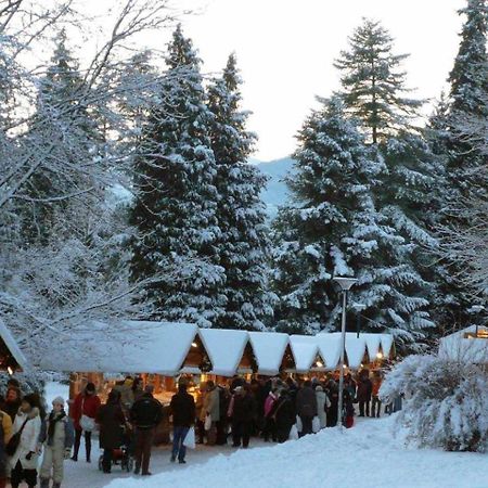 Appartamento Al Garibaldi Levico Terme Kültér fotó