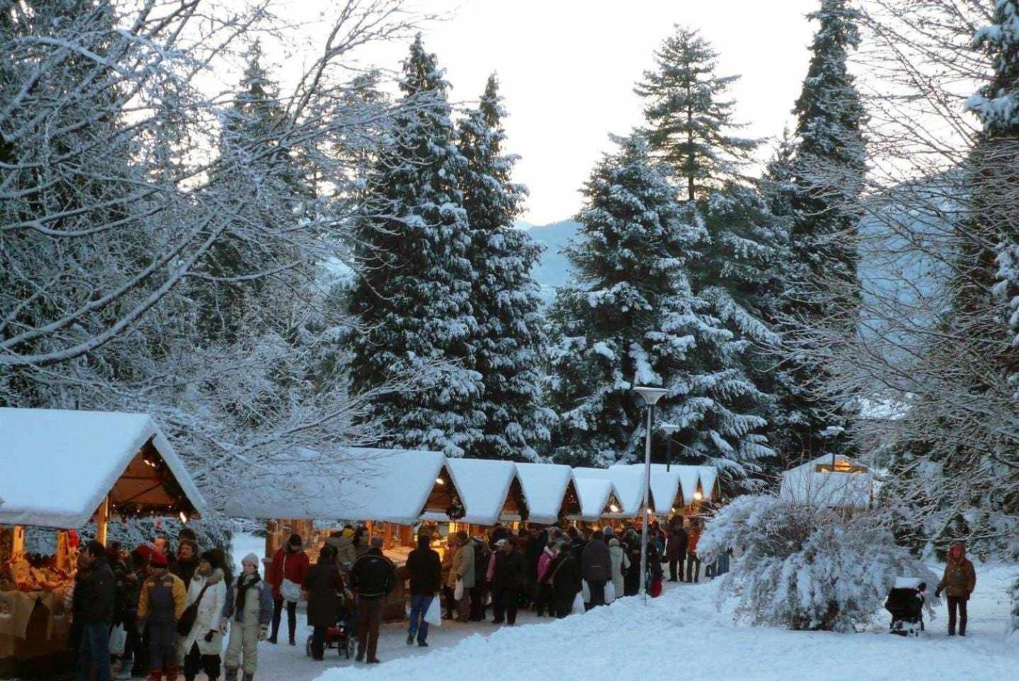 Appartamento Al Garibaldi Levico Terme Kültér fotó